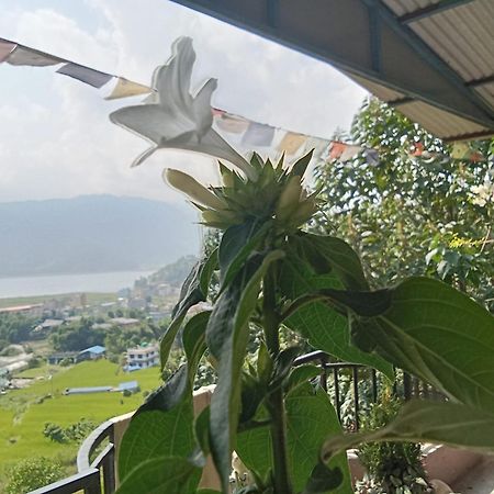 Gautam Garden Guest House Pokhara Dış mekan fotoğraf