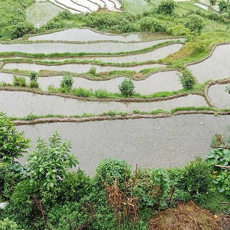 Gautam Garden Guest House Pokhara Dış mekan fotoğraf