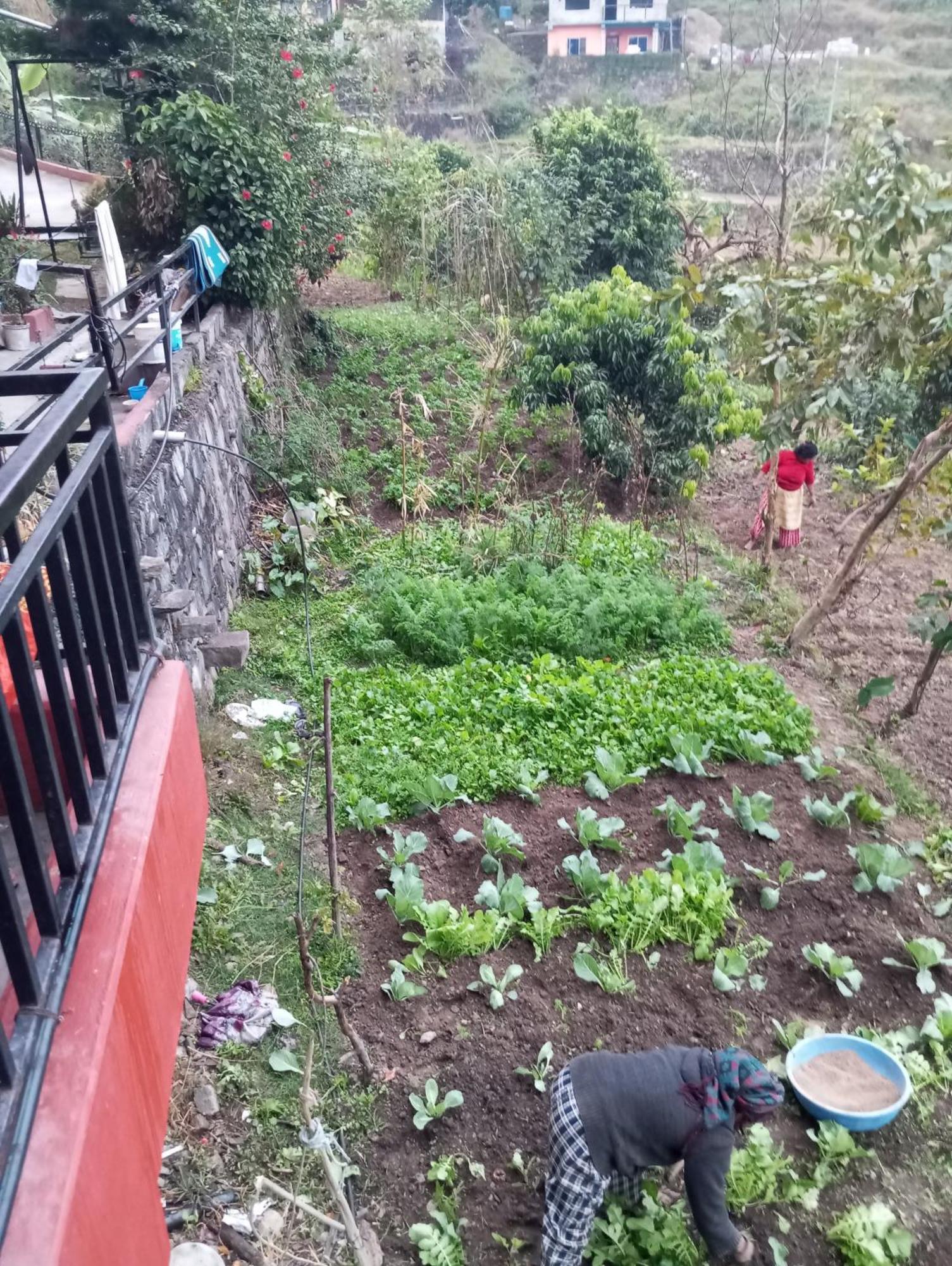 Gautam Garden Guest House Pokhara Dış mekan fotoğraf