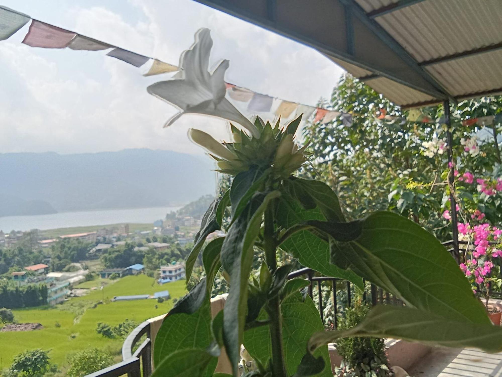 Gautam Garden Guest House Pokhara Dış mekan fotoğraf