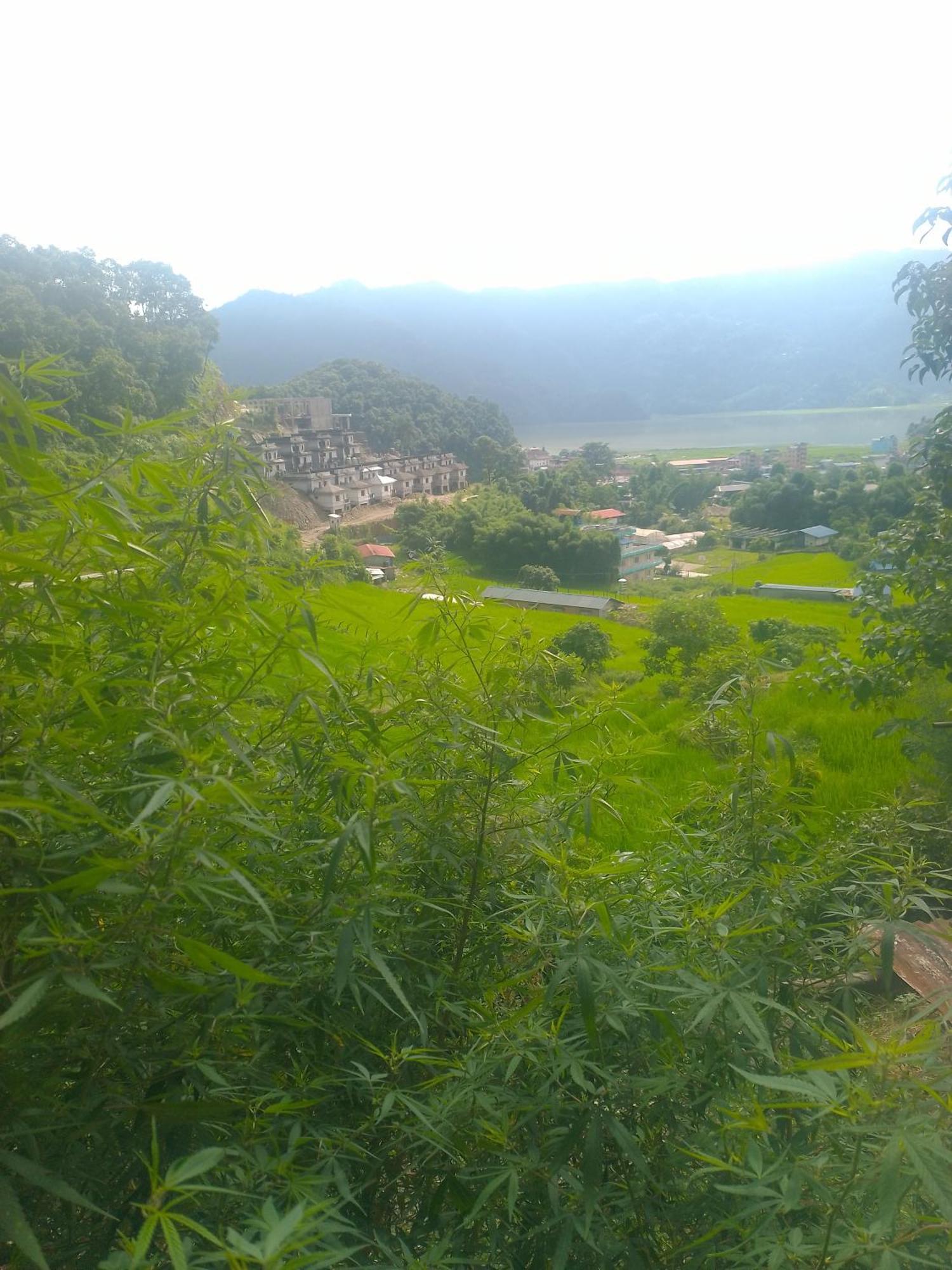 Gautam Garden Guest House Pokhara Dış mekan fotoğraf